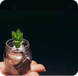 Hands holding a plant in a jar